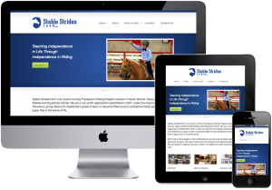 Fort Worth WordPress Developer